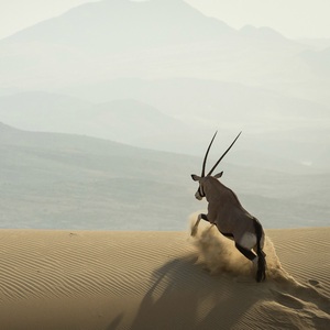 namibia