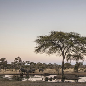 zimbabwe